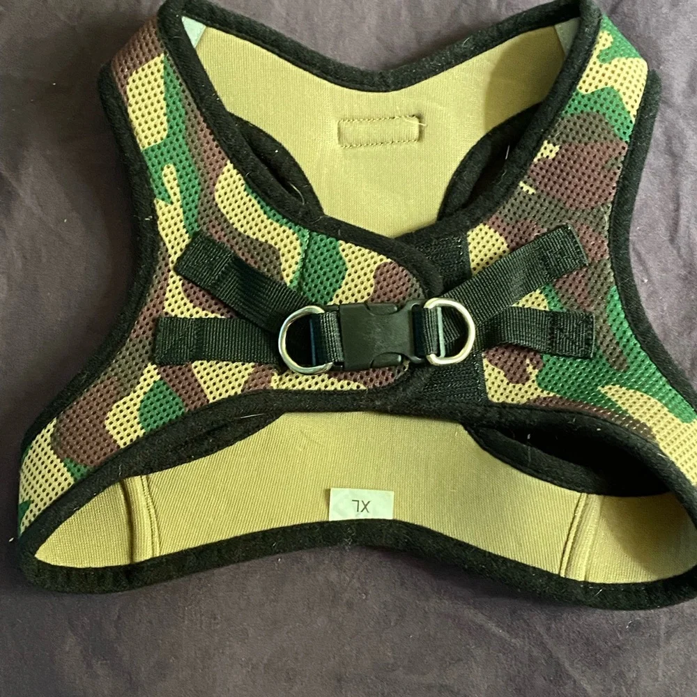 -Harness - Picture 2 of 3